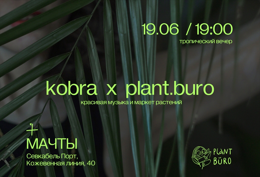 kobra x plant.buro