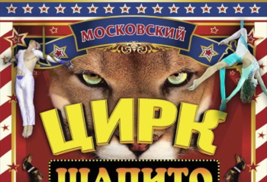 цирковое представление