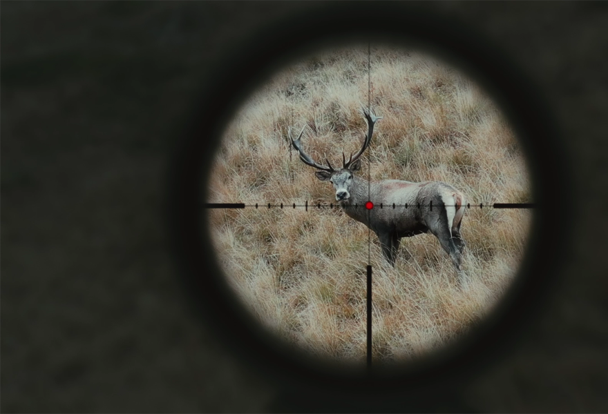 «Охотник» (2024)