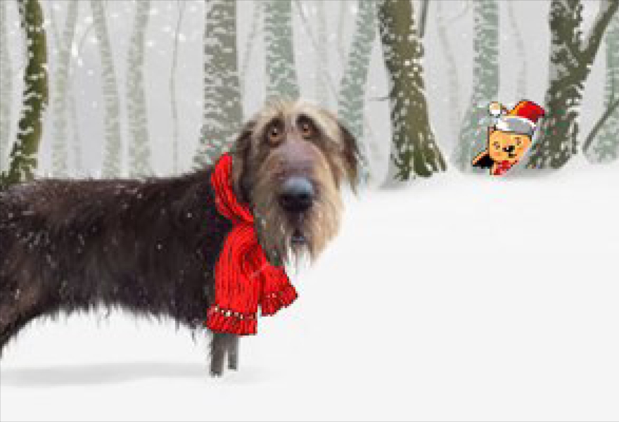 Новогоднее представление "Пёс Барбос и Дед Мороз"