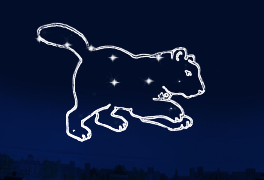 Под звёздным небом планетария