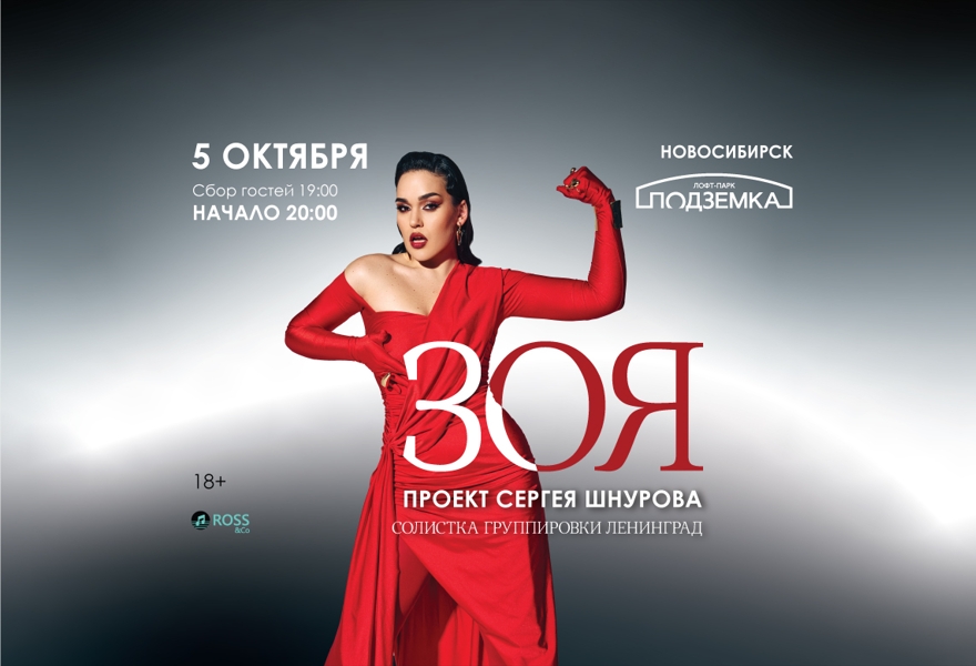 Концерт Зои