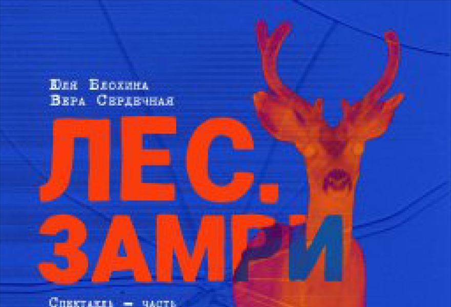 "Лес. Замри" Спектакль ТО "Аврора читает"