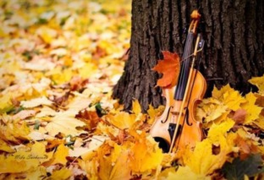 Осенние скрипки. Осенняя скрипка. Скрипка осень. Скрипка в осенней листве. Скрипка осенние листья.