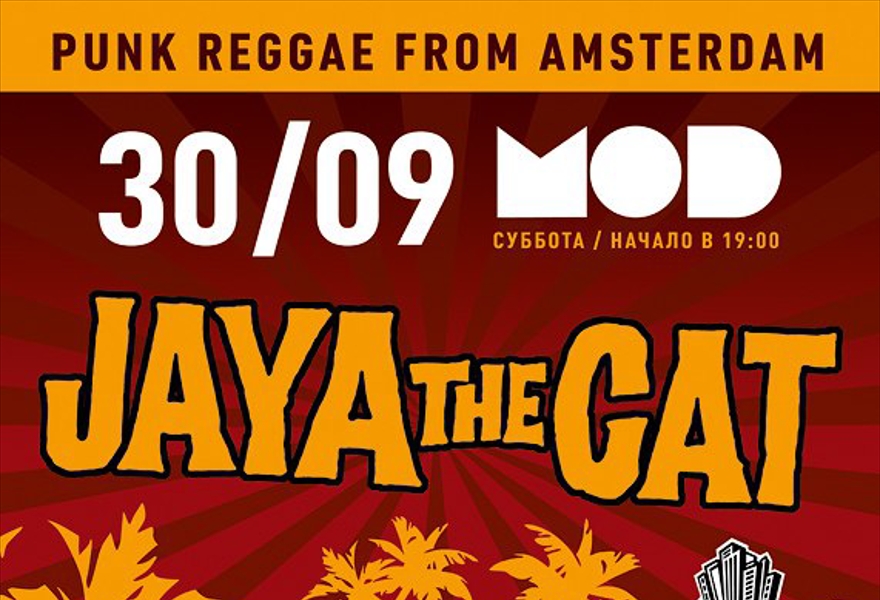 JAYA THE CAT