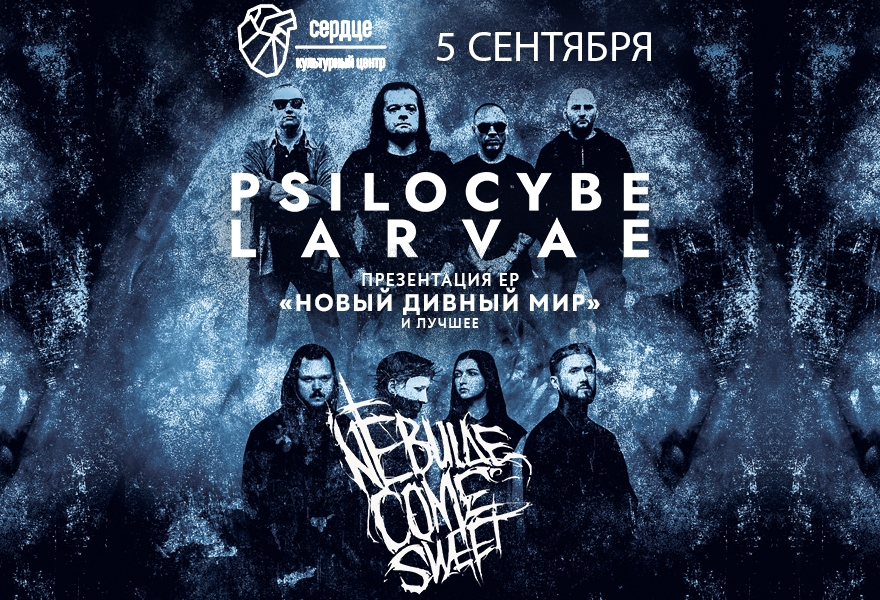 Psilocybe Larvae &Nebulae Come Sweet
