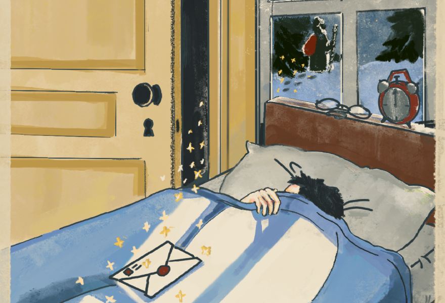 В поисках Деда Мороза