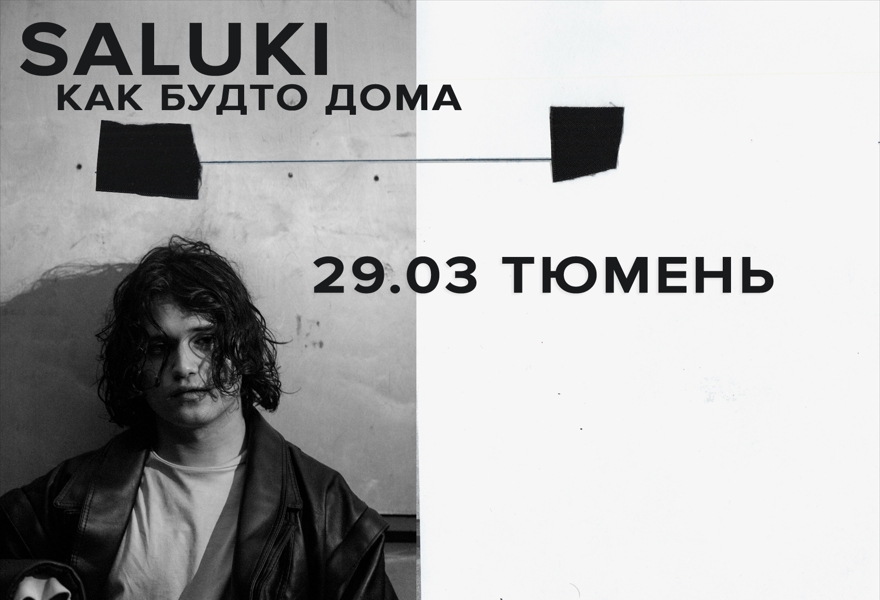 SALUKI в Тюмени