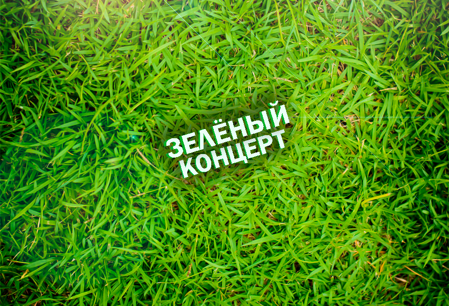 "Зелёный концерт" Молодежного оркестра "Родной"