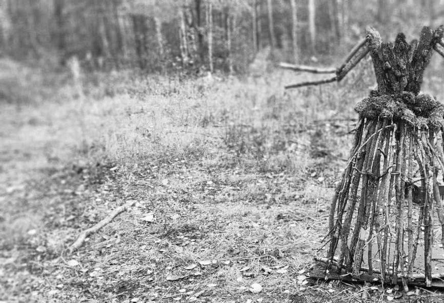 Мапуче. Земля людей