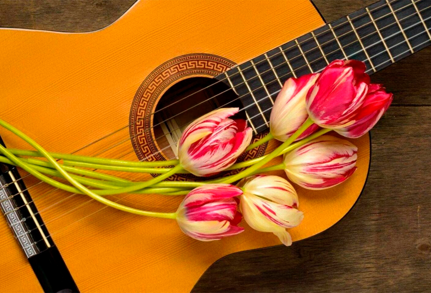 Концерт авторов-исполнителей Санкт-Петербурга "Без женщин жить нельзя"