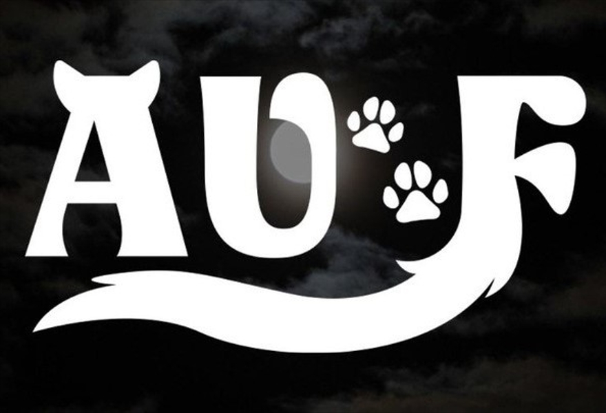 AU:Fest 2024
