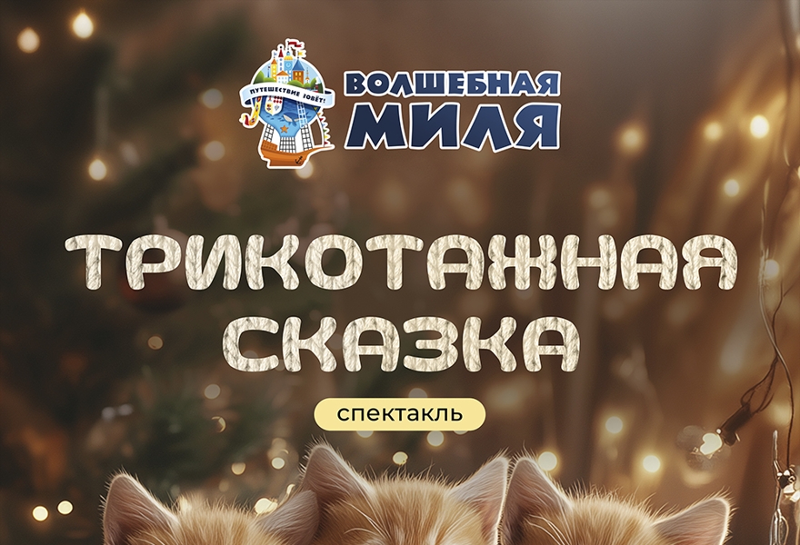 Спектакль "Трикотажная сказка" 1+