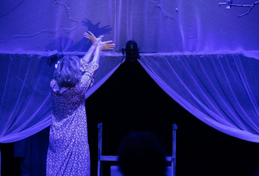 Я ничего не боюсь!