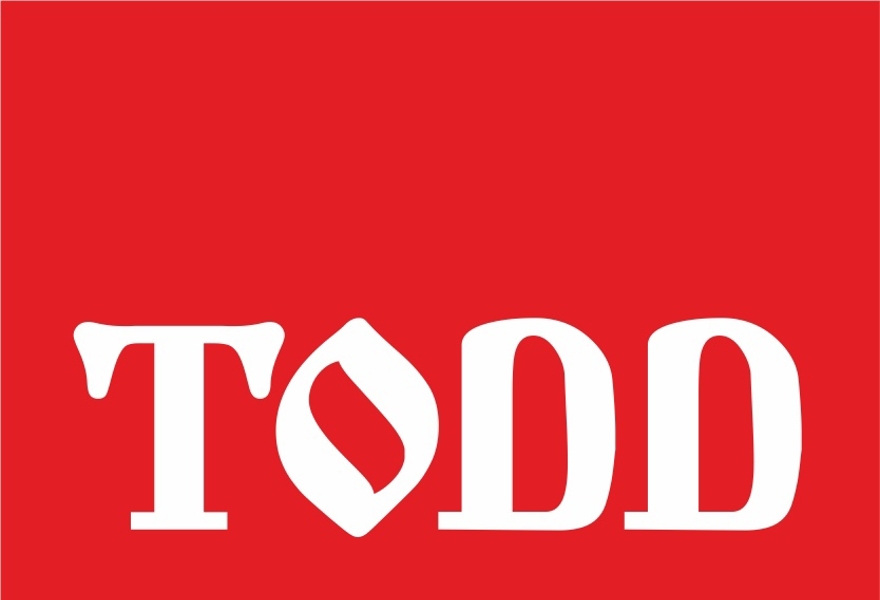 Зонг-опера TODD