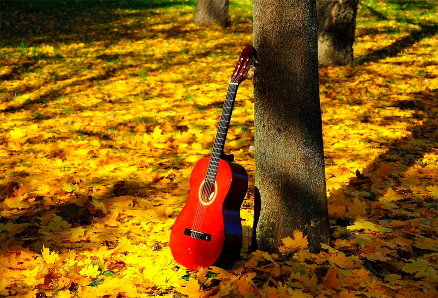 Концерт авторской песни «Музыкальный листопад»