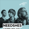 Needshes